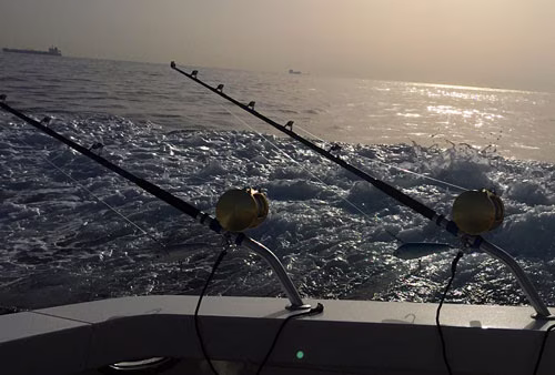 Marbella fishing rods