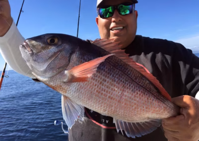 Marbella fishing captures