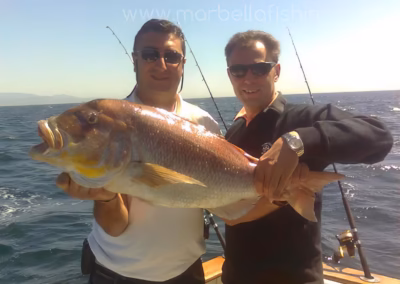 Marbella fishing captures